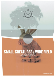 Small Creatures / Wide Field