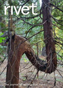 Rivet cover showing a tree trunk bent double but still thriving