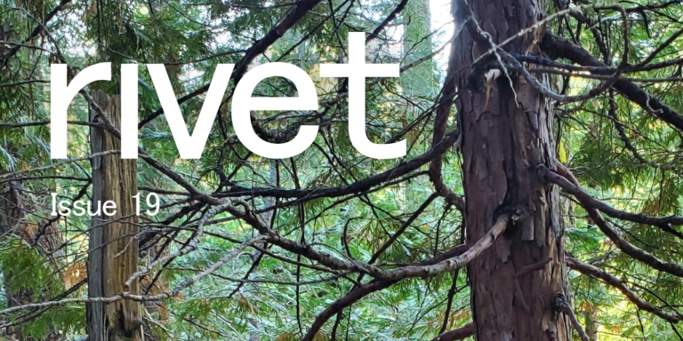 issue-19-social – Rivet Journal